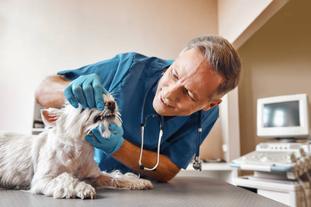 Best Pediatric Emergency Dentist in Sawgrass, FL